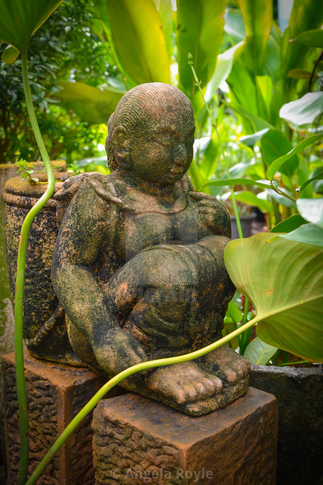 "Seated garden Buddha statue" stock image