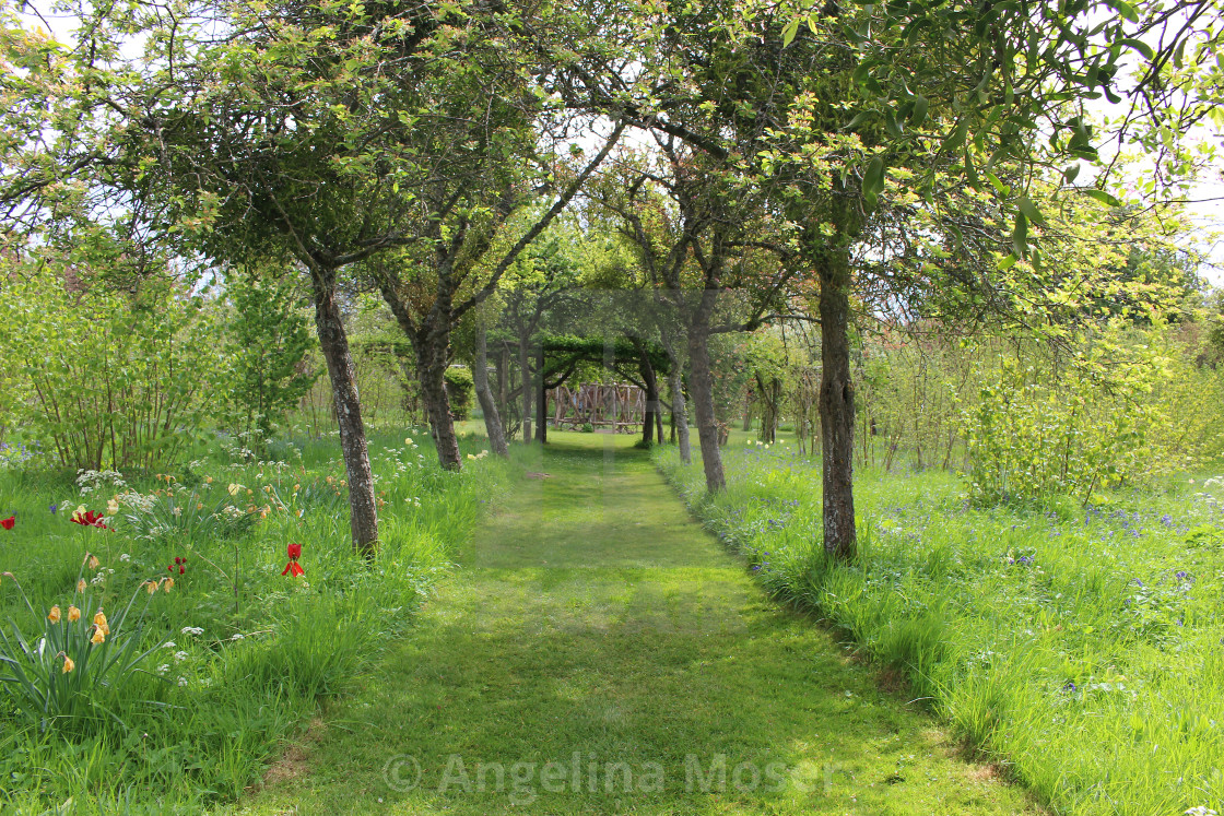 "Nut Garden and Trellis" by Angelina Moser - $31.49 "Nut Garden and Trellis" stock image