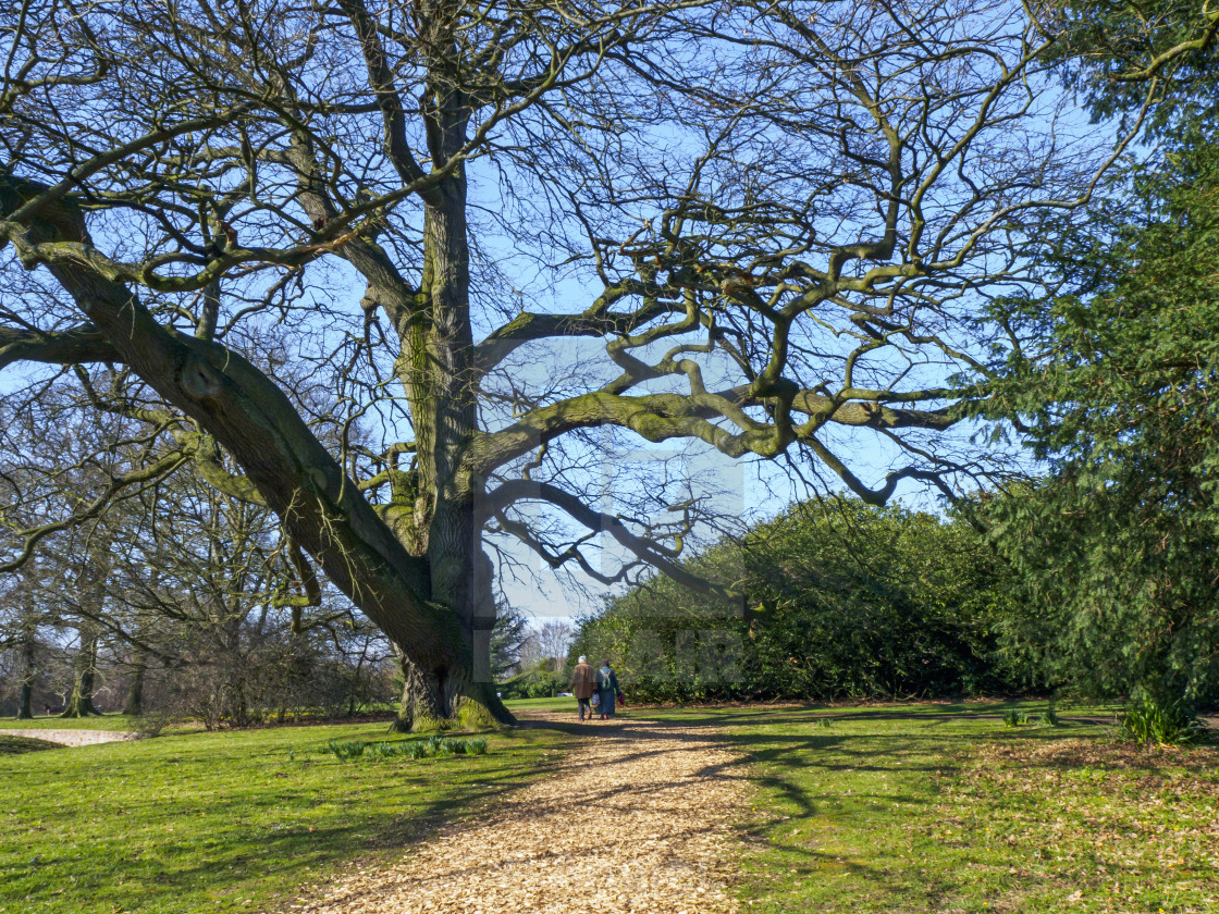 "Path in the parkland at Beningbrough, North Yorkshire, England" stock image