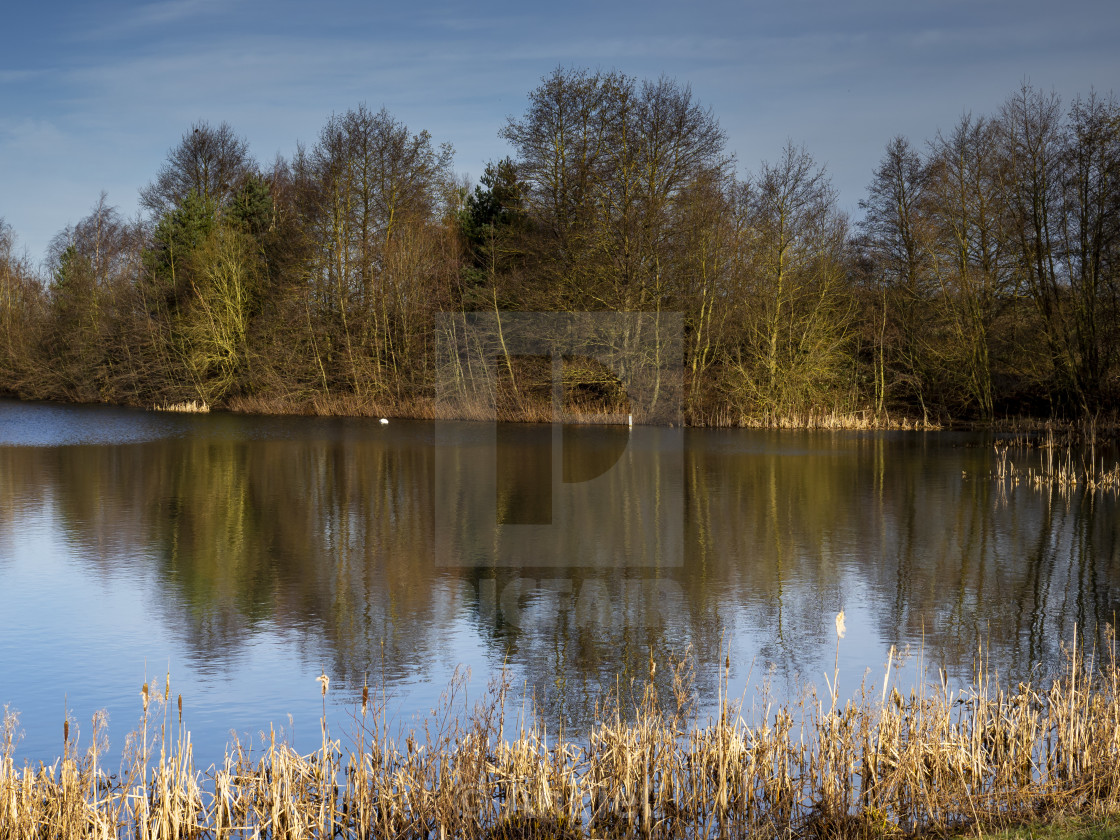 "Reflections at North Cave Wetlands, East Yorkshire, England" stock image