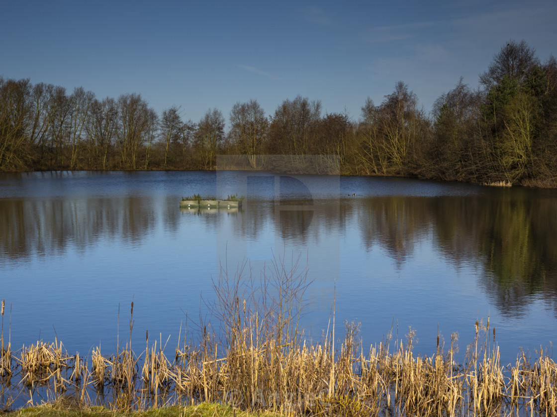 "North Cave Wetlands, East Yorkshire, England" stock image