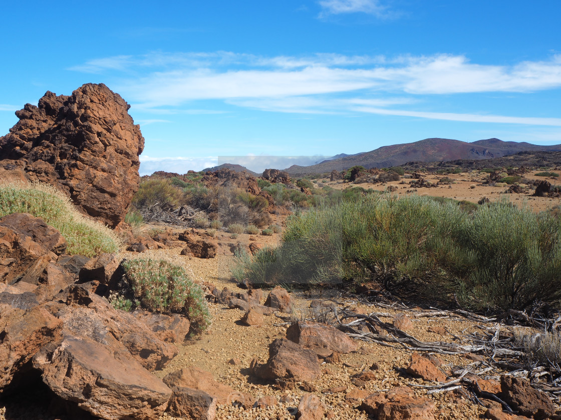 "Teide National Park, Tenerife" stock image