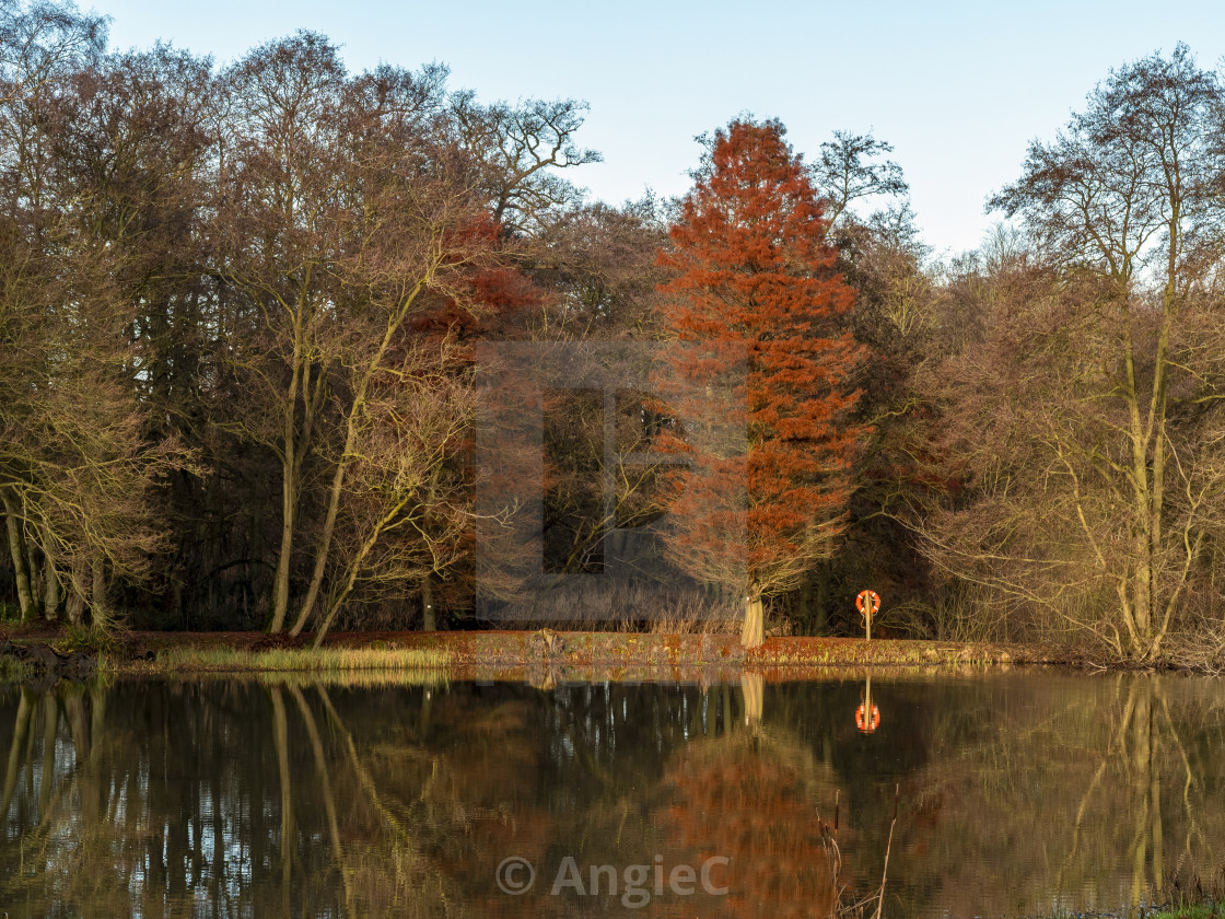 "Winter Reflection" stock image