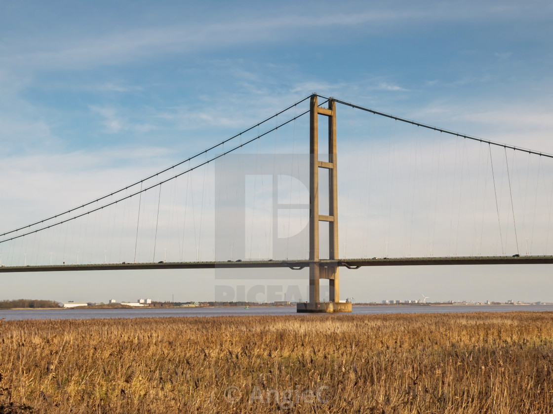 "Tower of the Humber Bridge" stock image