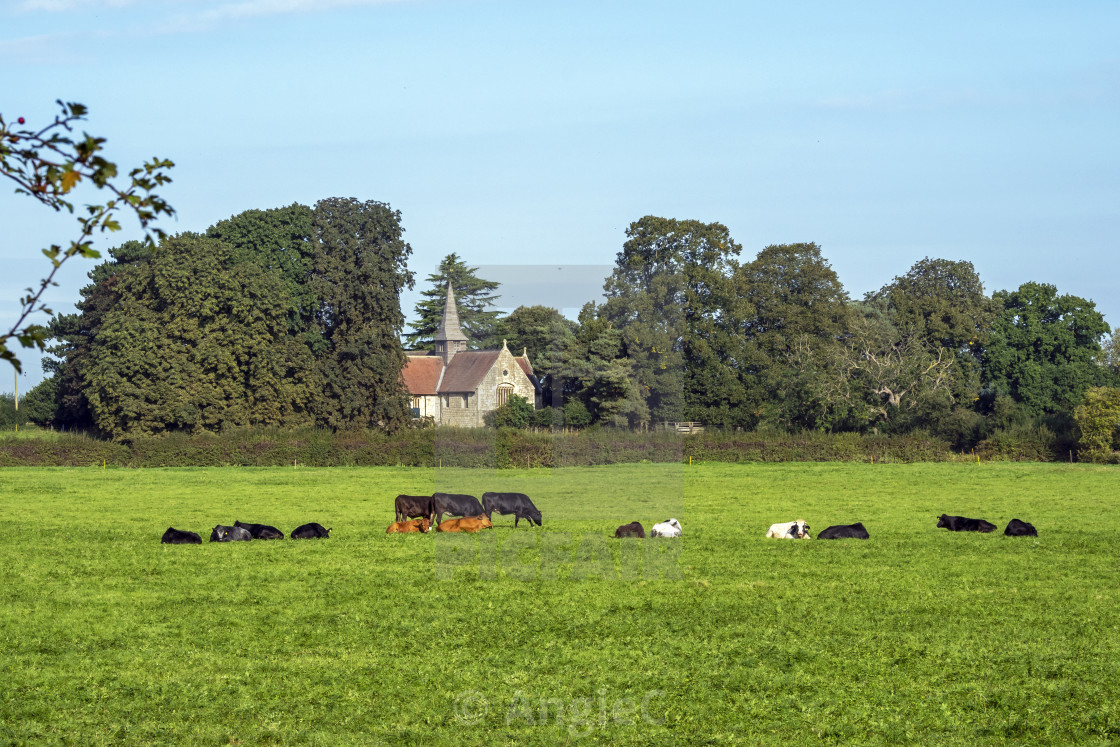 "Acaster Malbis Village Church" stock image