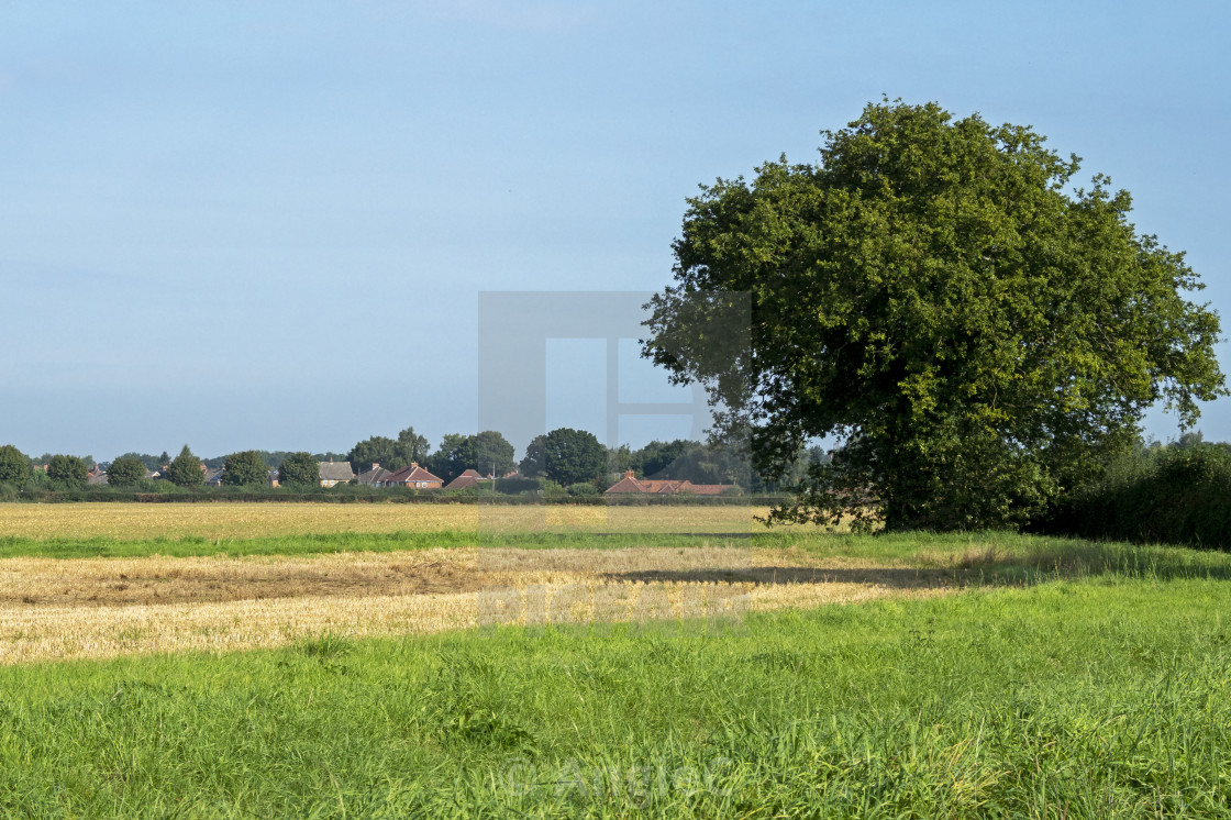 "View to Bishopthorpe village, North Yorkshire, England" stock image