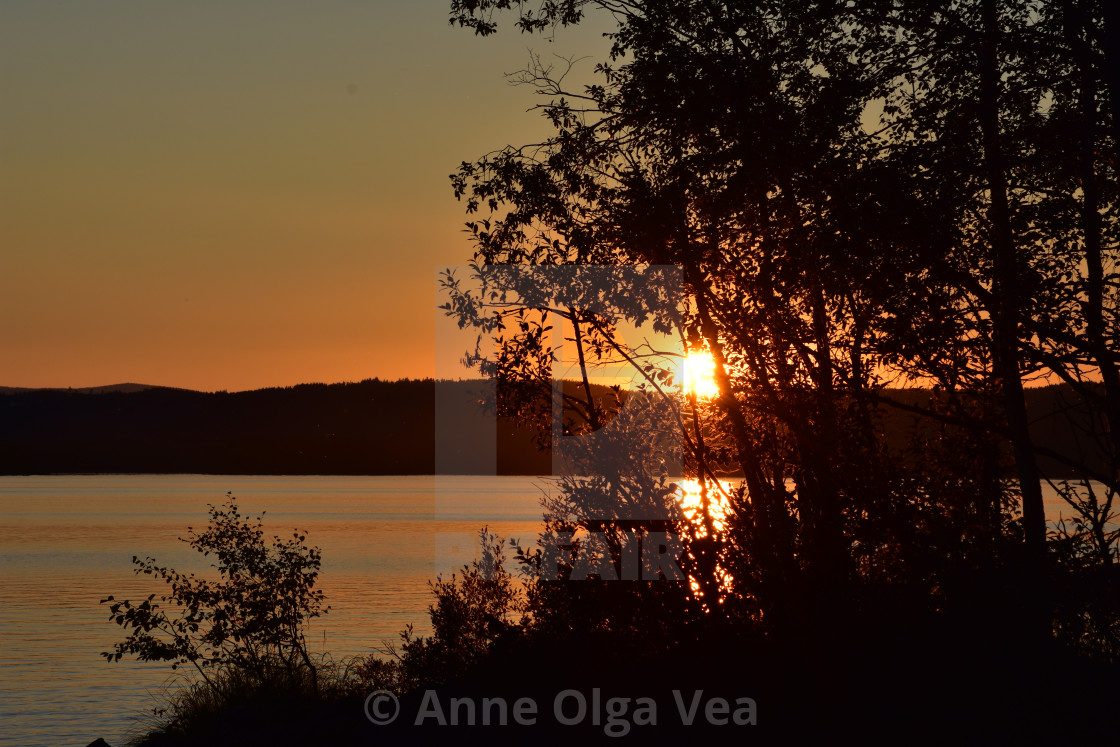"Sunset through trees" by Anne Olga Vea - $6.29 "Sunset through trees" stock image