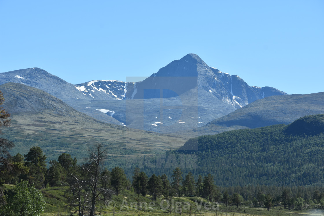 "Summer day in the mountains" by Anne Olga Vea - $6.29 "Summer day in the mountains" stock image