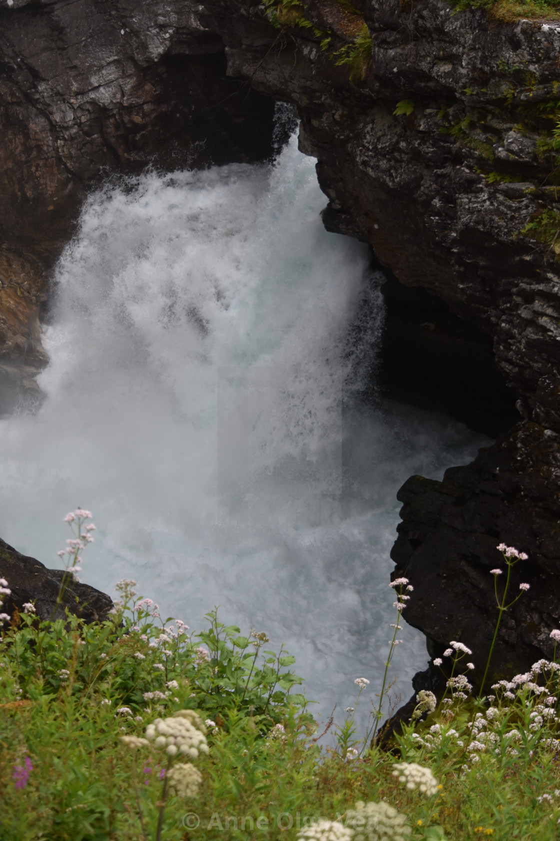 "River in gorge" by Anne Olga Vea - $6.29 "River in gorge" stock image