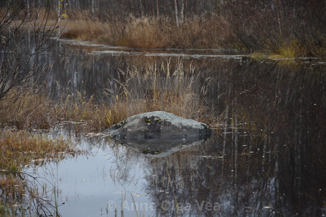 "By the stream in autumn" stock image