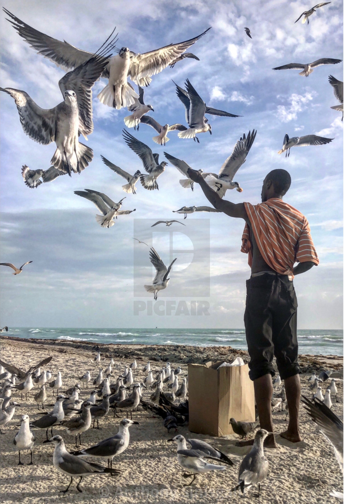 "Feeding Time" stock image