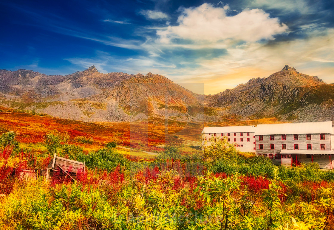 "Alaska Bunkhouse framed by a field of fall colors" stock image