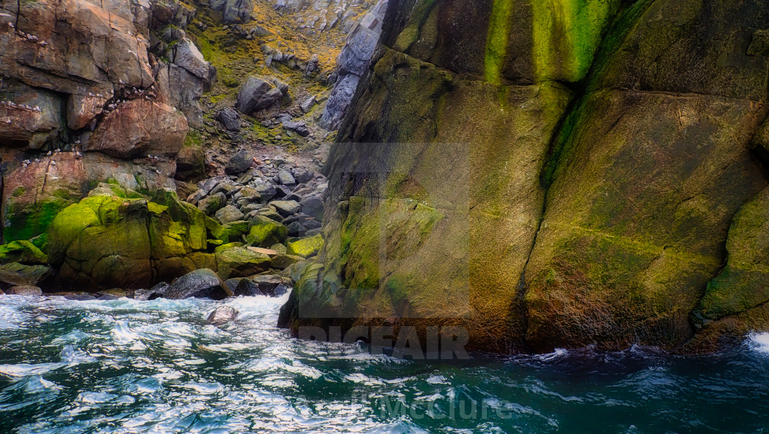 "Arctic Island Landscape - Cape Hering, Arctic Bird Sanctuary" stock image