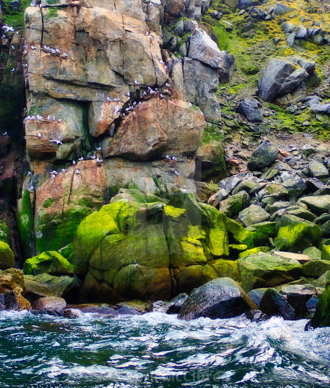 "Cape Hering, Bird Sanctuary in the Arctic Ocean" stock image