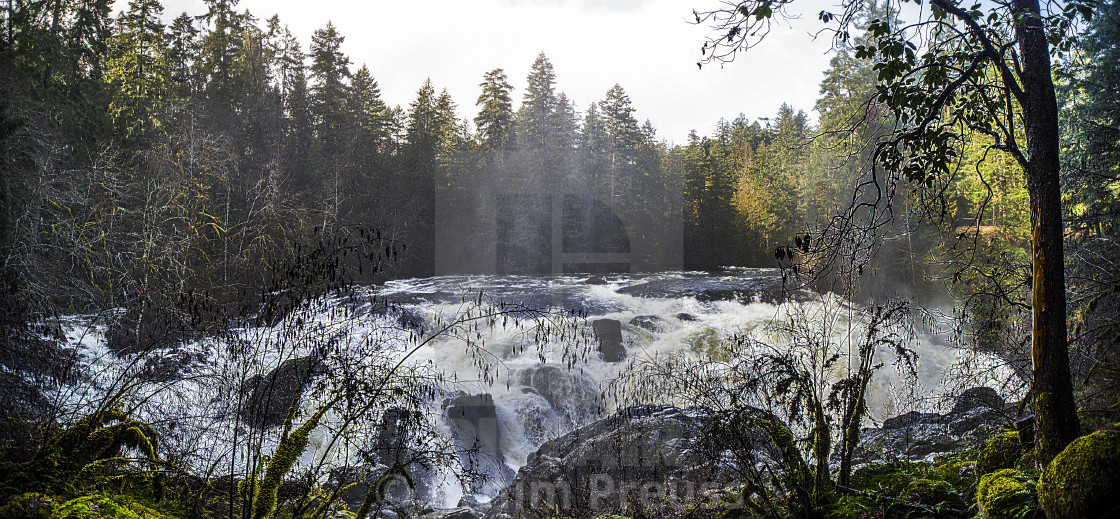 "Upper Englishman River Falls" stock image