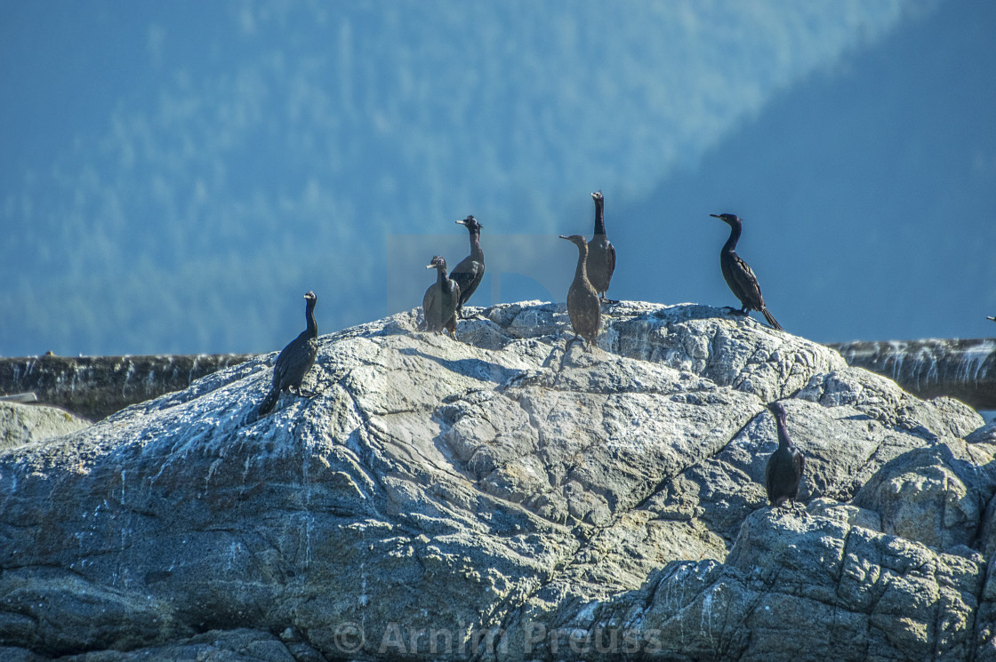 "The Boys Club" stock image