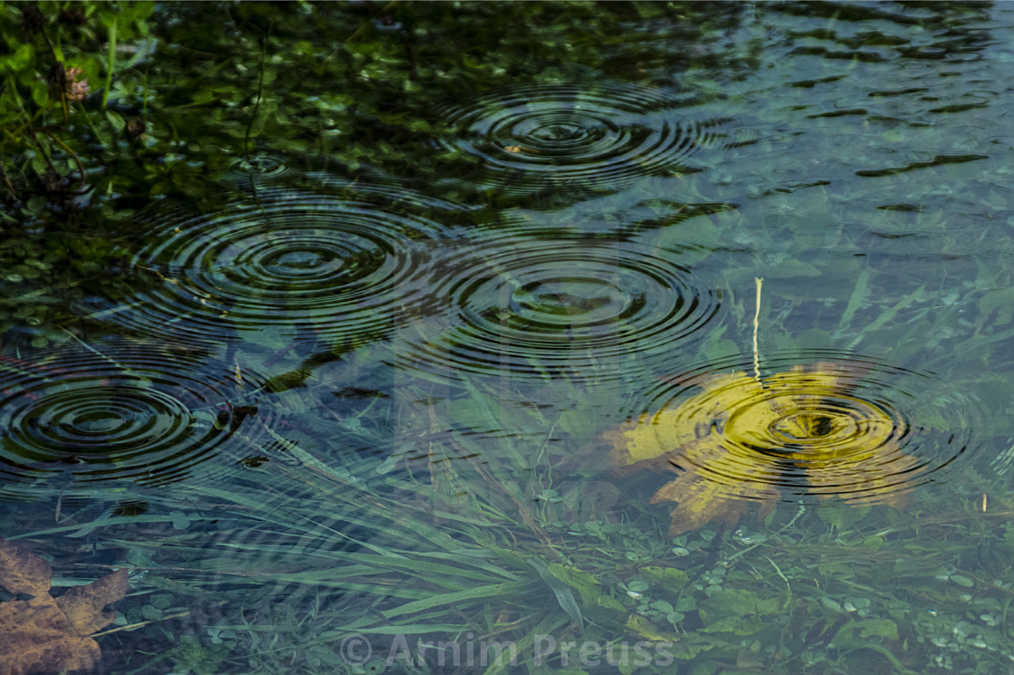 "West Coast Rain" stock image