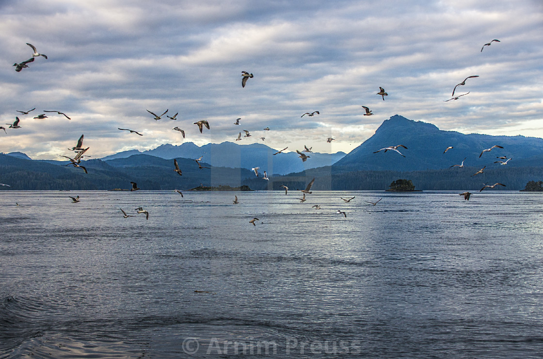 "The Birds" stock image