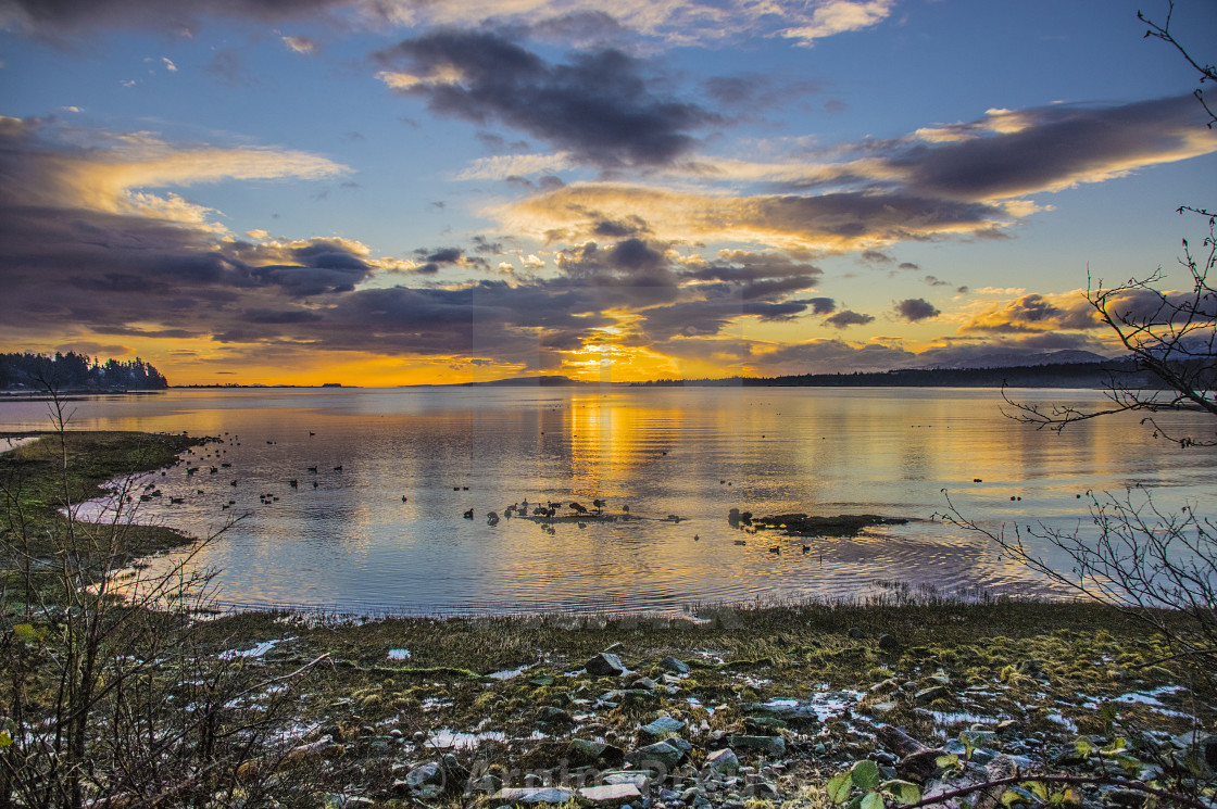 "Courtenay River Estuary Sunset In The Fall" stock image