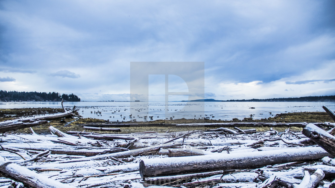 "Winter On The Courtenay River Estuary" stock image