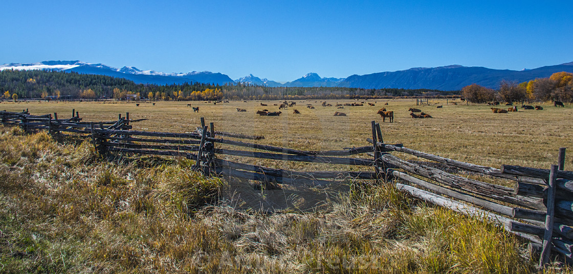 "Chilcotin Landscapes" stock image