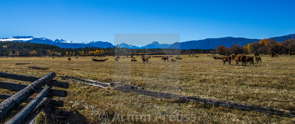 "Chilcotin Landscapes" stock image