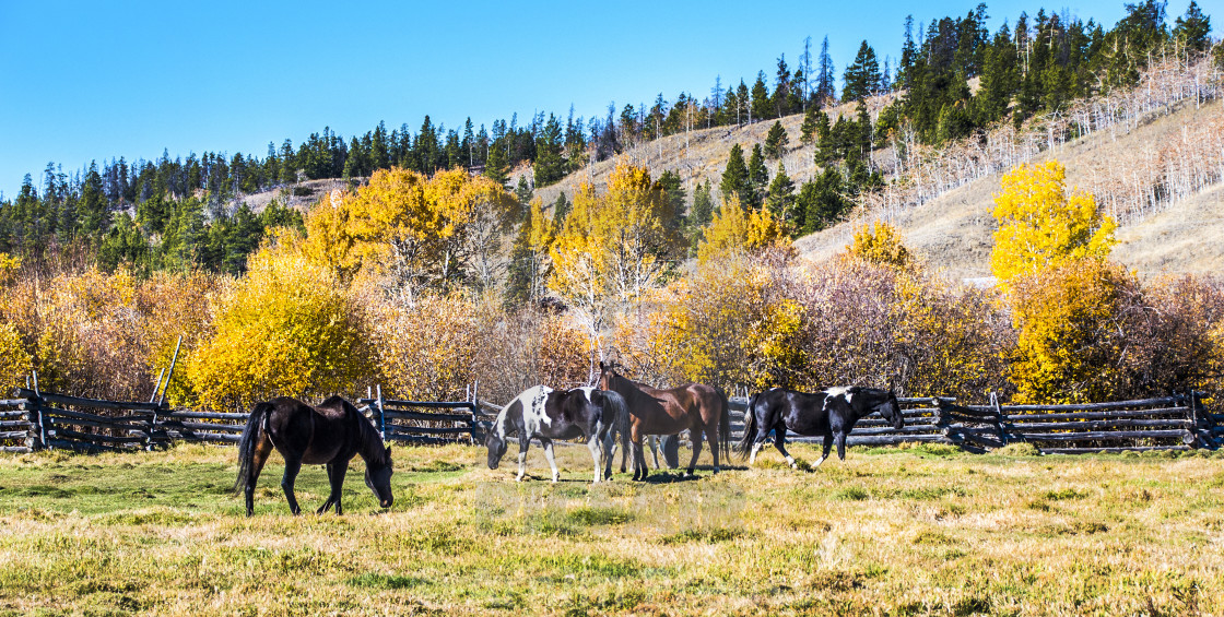 "Chilcotin Landscapes" stock image