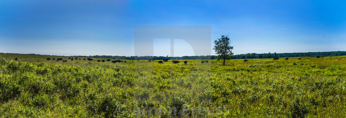 "A Prairie Landscape" stock image