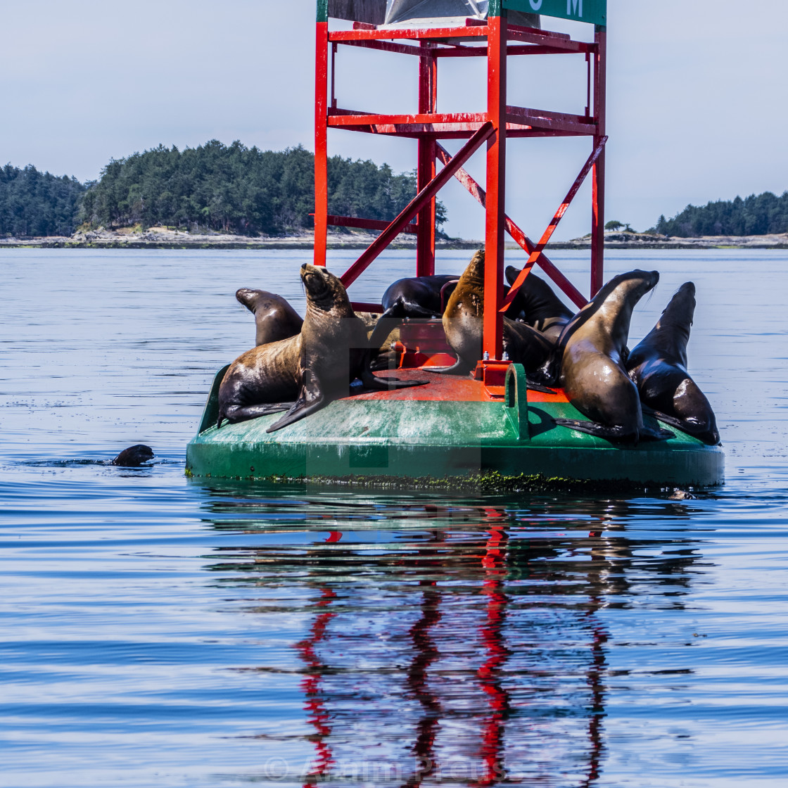 "The Party Boat" stock image