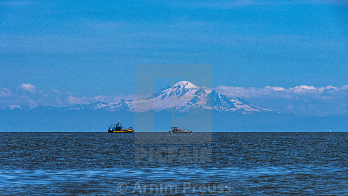 "Whale Watching With A View" stock image