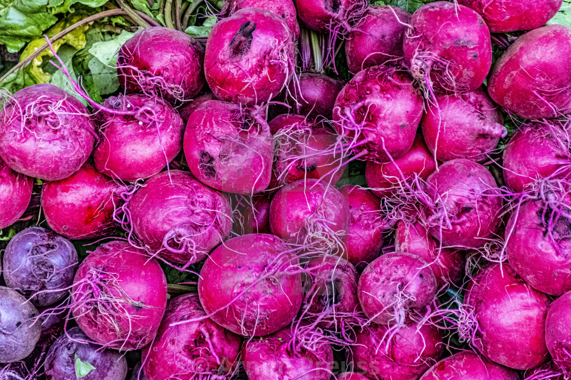 "Red Beets" stock image