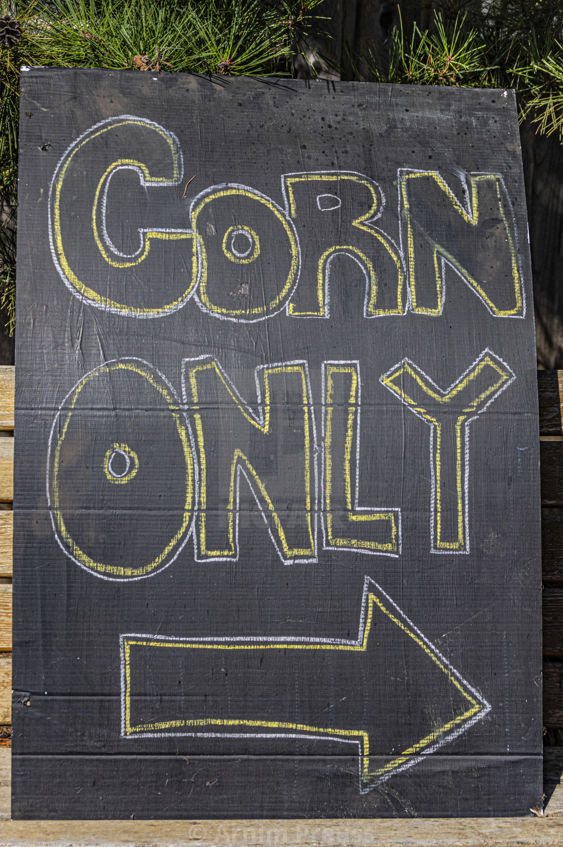 "Corn Only" stock image