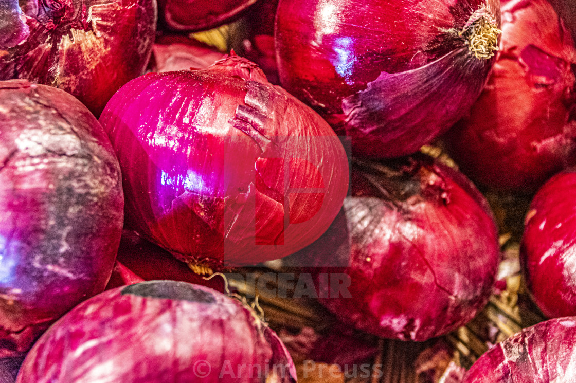 "Red Onions" stock image