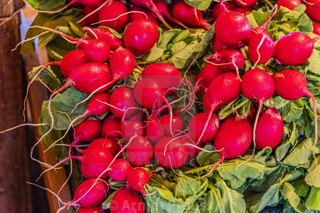 "Radishes" stock image