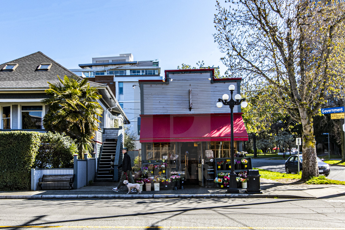 "A Walk Through Victoria's Old Neighbourhoods" stock image