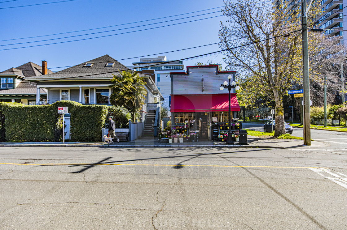 "A Walk Through Victoria's Old Neighbourhoods" by Arnim Preuss - £10.00 "A Walk Through Victoria's Old Neighbourhoods" stock image