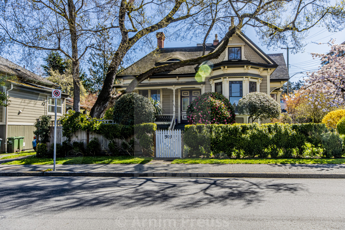 "A Walk Through Victoria's Old Neighbourhoods" by Arnim Preuss - £10.00 "A Walk Through Victoria's Old Neighbourhoods" stock image