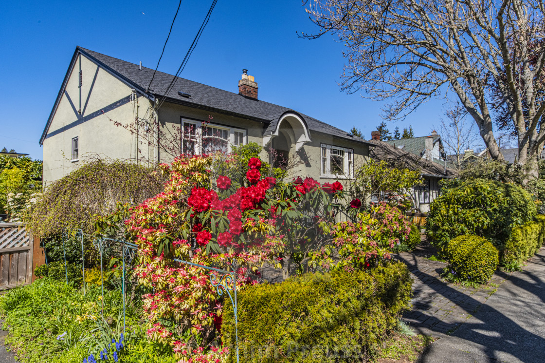 "A Walk Through Victoria's Old Neighbourhoods" by Arnim Preuss - £10.00 "A Walk Through Victoria's Old Neighbourhoods" stock image