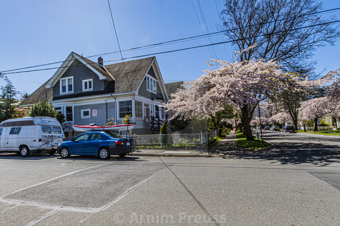 "Victoria's Old Neighbourhoods" by Arnim Preuss - £10.00 "Victoria's Old Neighbourhoods" stock image