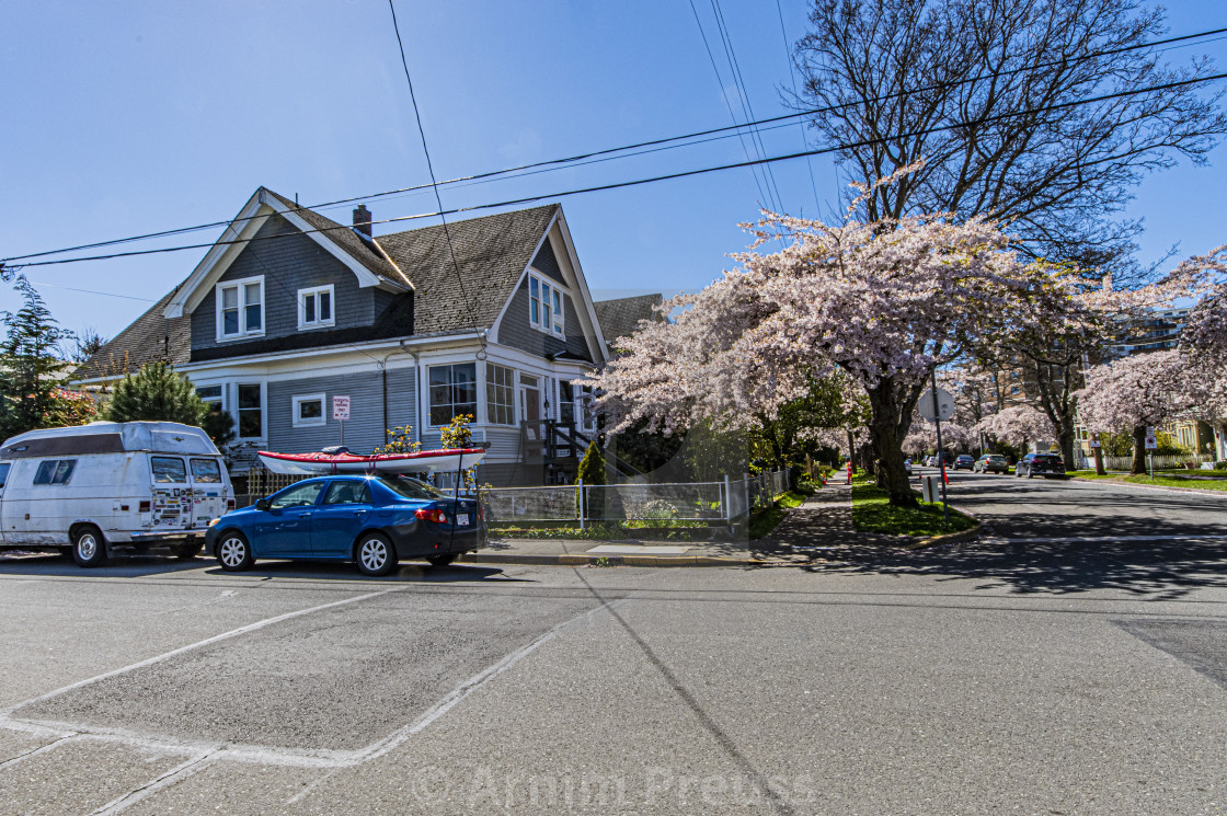 "Victoria's Old Neighbourhoods" stock image