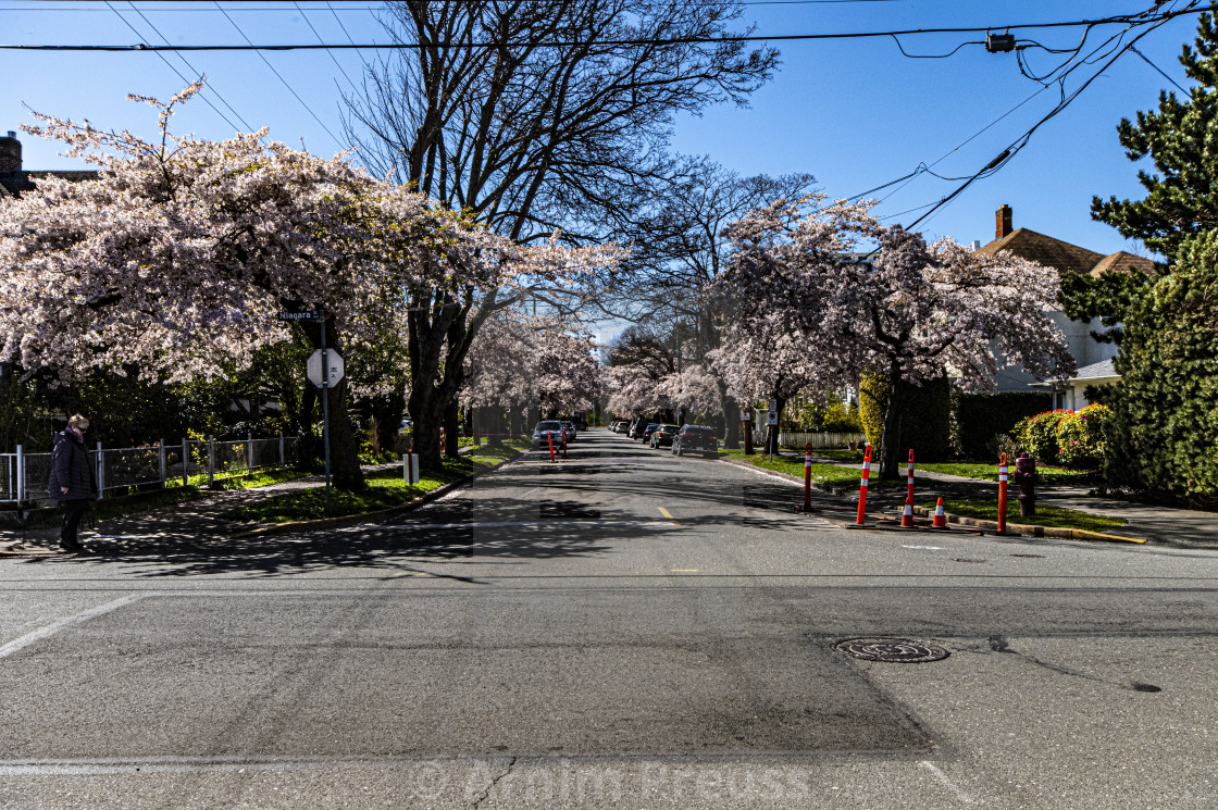 "Victoria's Old Neighbourhoods" stock image