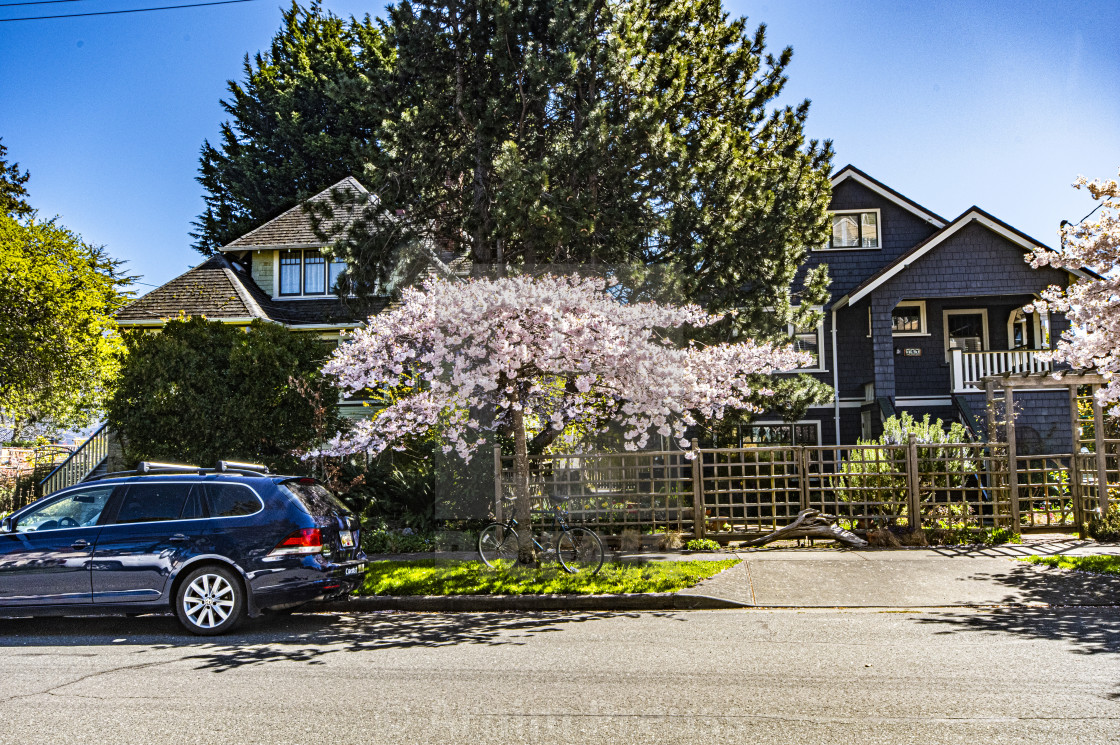 "Victoria's Old Neighbourhoods" stock image