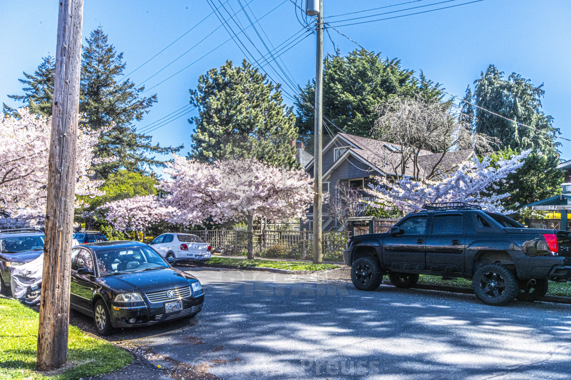 "Victoria's Old Neighbourhoods" stock image