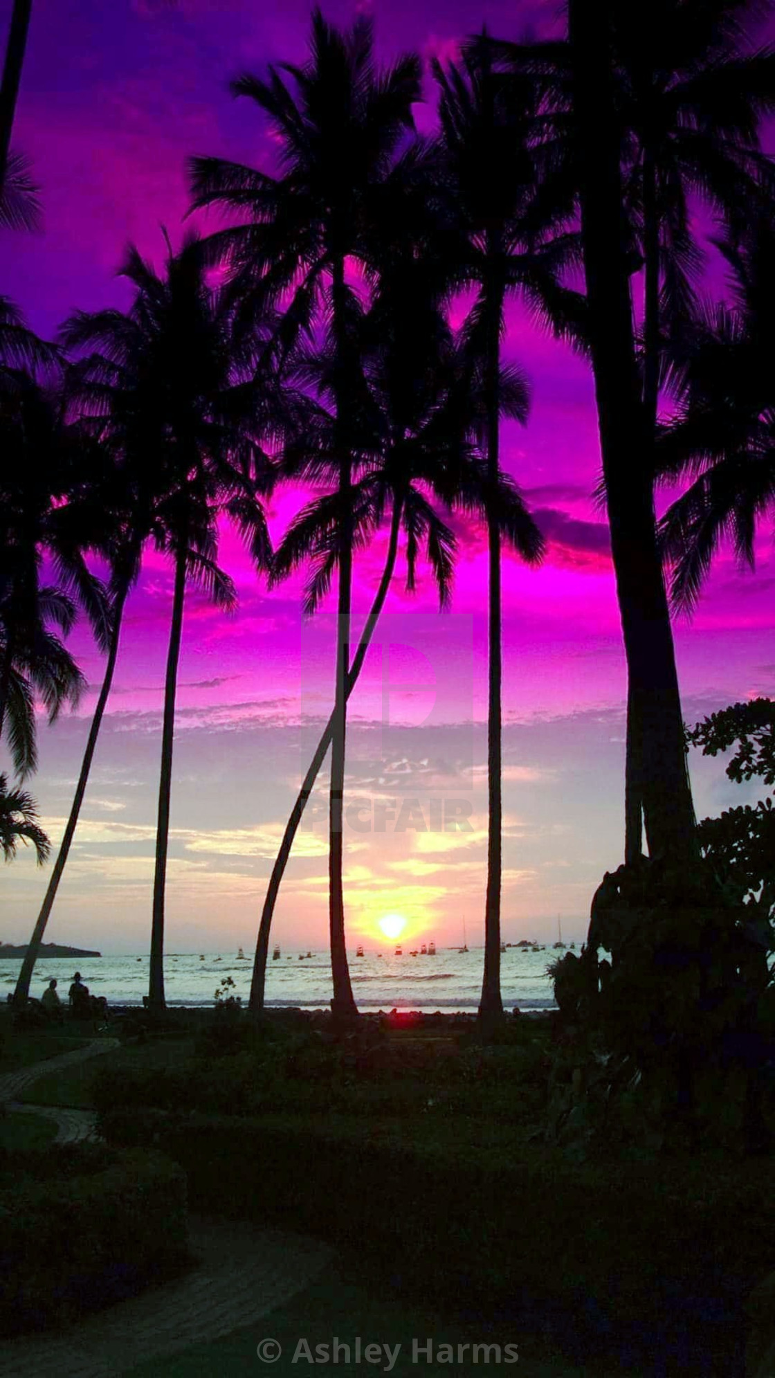 "Sunset" by Ashley Harms - $38.38 "Sunset" stock image