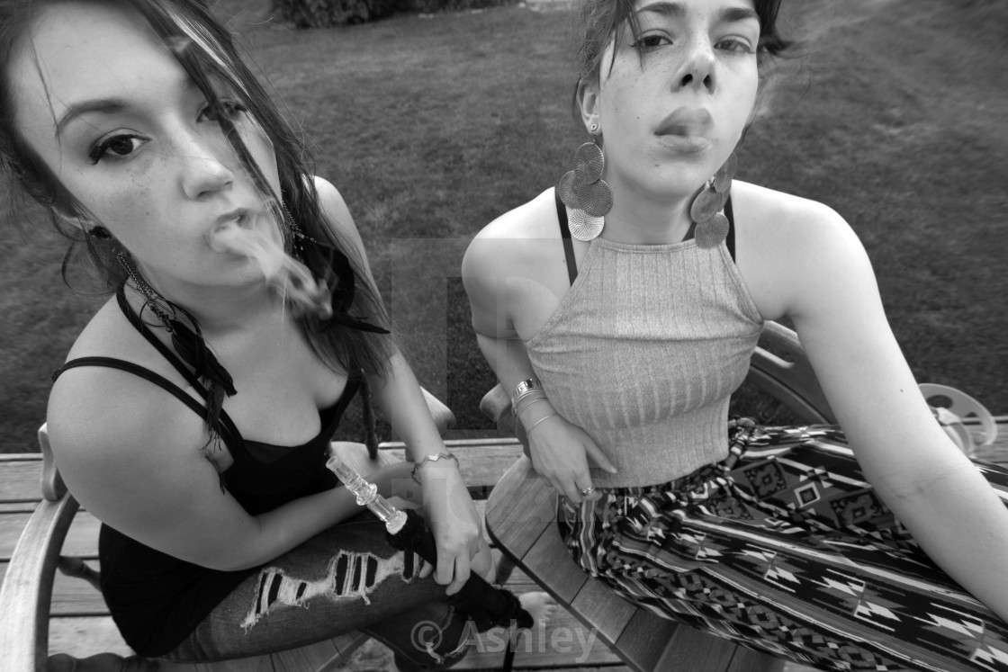 "Backyard Fashonistas" by Ashley - $68.23 "Backyard Fashonistas" stock image