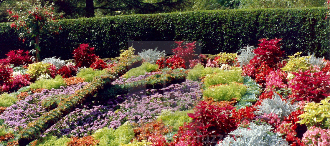 "A Glimpse of an English Garden" stock image