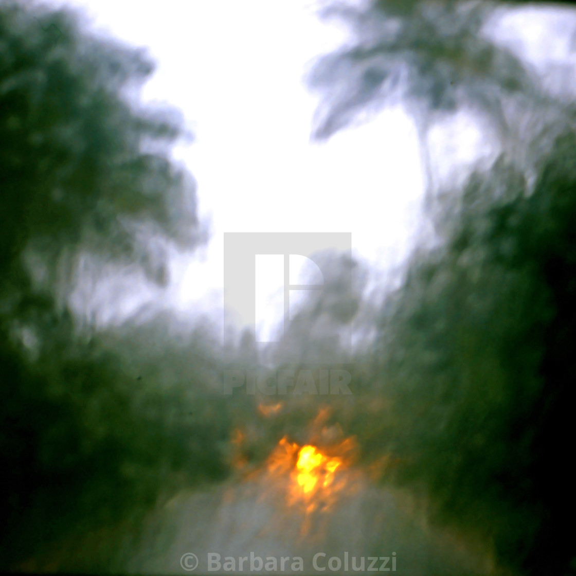 "Kerala, 1996: Under the rain" stock image