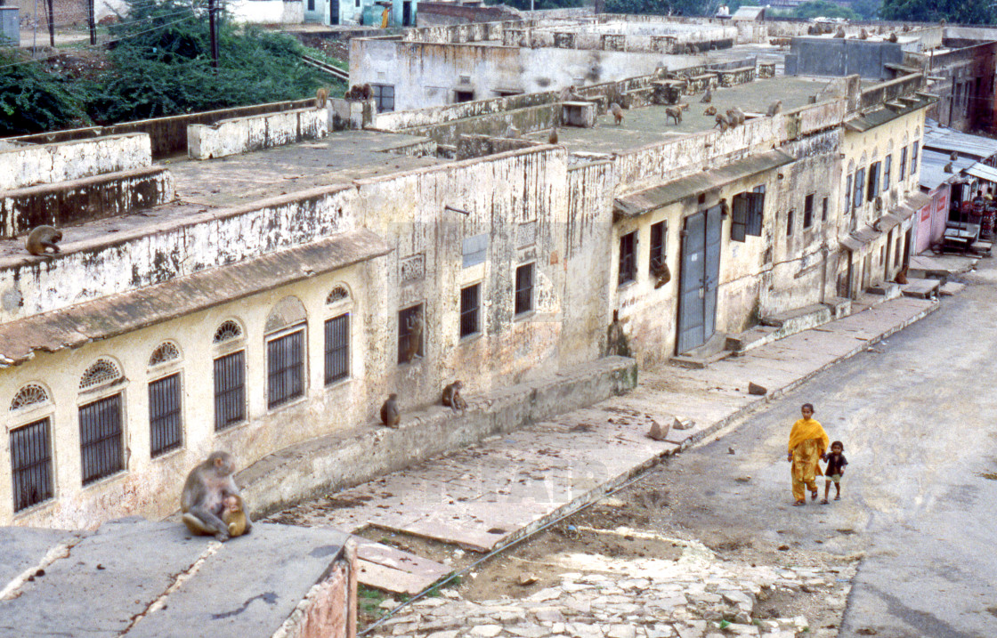 "Jaipur, 1996: Beyond the Galta Gate" stock image