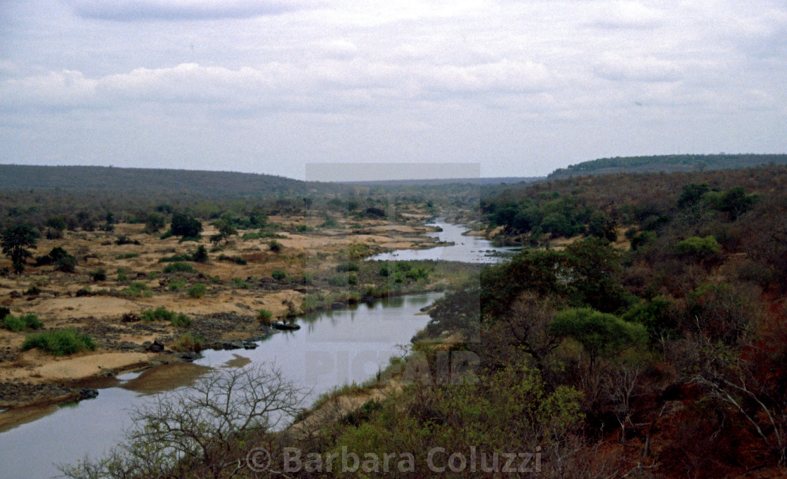 "River in the Kruger Park" stock image