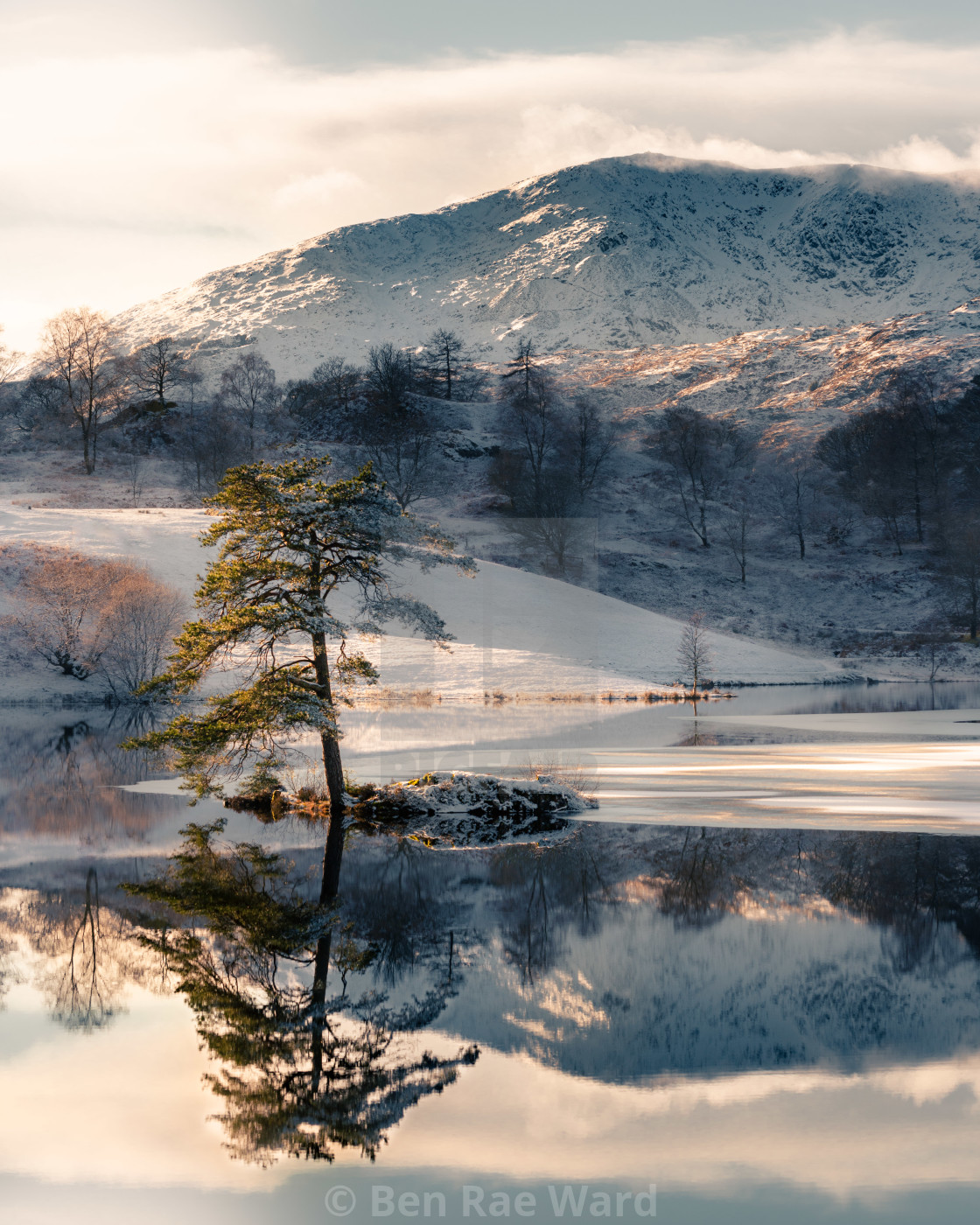 "Winter Wonder" stock image